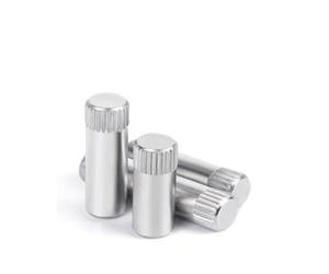 Spine parallele zigrinate singole in acciaio inossidabile M1.5-M5 304, albero cilindrico for assemblaggio meccanico for la lavorazione del legno(M5x16mm 30pcs)
