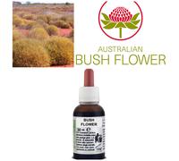 SPINIFEX Fiori Australiani Sindr. Malato immaginario/Sollievo Rinforzo Coscienza