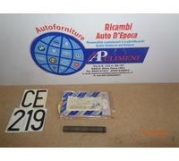 SPINOTTO PERNO SATELLITE DIFFERENZIALE CAMBIO FIAT UNO PANDA 600 LANCIA Y10