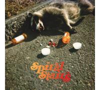 Spiral Stairs - Real Feel