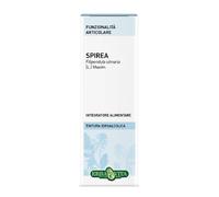 Spirea Ulmaria Tintura Ialuronico 50ml