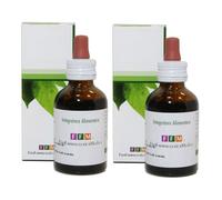 SPIREA ULMARIA TINTURA MADRE ARTROSI ARTRITE DOLORI ARTICOLARI 50ml x 2 (100 ml)