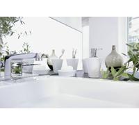 Spirella Desk Accessory Max-Porcelain White 1260188, Portaspazzolino Bianco, Standard