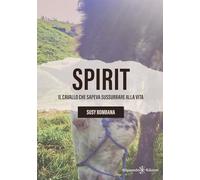 Spirit. Il cavallo che sapeva sussurrare alla vita