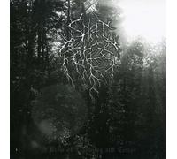 Spirit of the Forest Brew of Lighting and Terror (CD)