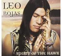 spirit of the hawk