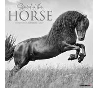 Spirit of the Horse 2027 Wall
