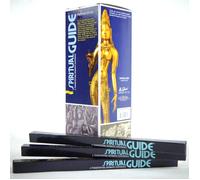 Spiritual Guide Padmini 1 Scatola da 200 Bastoncini Incenso