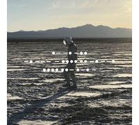 Spiritualized And Nothing Hurt (Vinyl LP)