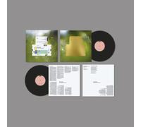 Spiritualized Everything Was Beautiful (Vinyl LP) 12" Album