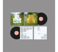 Spiritualized Everything Was Beautiful (Vinyl LP) 12" Album