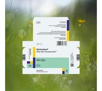 Spiritualized Everything Was Beautiful (Vinyl LP) 12" Album