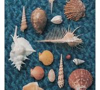 SPITZ - Cycle Hit 1991-1997 Spitz Complete Single Collection (Remastered)