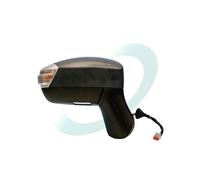 SPJ E-2437 Specchio retrovisore esterno per FORD
