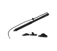 SPLACK Elettrico Portellone per Toyota per Rav4 2013-2018 Ricambi Auto Asta Supporto portellone Posteriore Elettrico Portellone Posteriore Idraulico 6892009010, 689100 R051(Giusto)