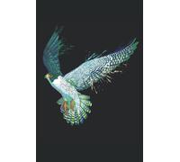 Splash Flying Peregrine Falcon Notebook: Dot Grid - 120 Pages - Size 6 x 9 Inches (15,24 x 22,86 cm)