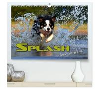 SPLASH - Hunde im Wasser (hochwertiger Premium Wandkalender 2026 DIN A2 quer), Kunstdruck in Hochglanz: Amüsante Aufnahmen von Hunden im Wasser