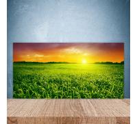 Splashback Paraschizzi Paraspruzzi 100x50 Campo di cereali Alba floreale