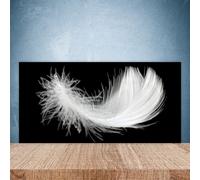 Splashback Paraschizzi Paraspruzzi 100x50 Piuma Arte Decorazione