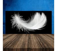 Splashback Paraschizzi Paraspruzzi 120x60 Piuma Arte Decorazione