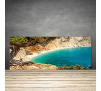 Splashback Paraschizzi Paraspruzzi 125x50 Baia Albero Paesaggio Decorazione