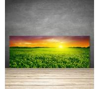 Splashback Paraschizzi Paraspruzzi 125x50 Campo di cereali Alba floreale