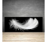 Splashback Paraschizzi Paraspruzzi 125x50 Piuma Arte Decorazione