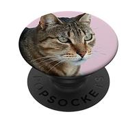 Splendida Tabby Cat Close Up Foto Ritratto Isolato PopSockets PopGrip Adesivo