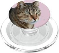 Splendida Tabby Cat Close Up Foto Ritratto Isolato PopSockets PopGrip per MagSafe