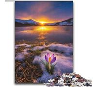 Splendidi puzzle di montagne e laghi da 2000 pezzi per adolescenti, gioco stimolante e gioco educativo per famiglie, per compleanni e Natale (70x100cm)