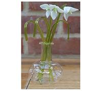 Splendido espositore di fiori di bucaneve in vetro