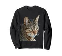 Splendido Gatto Soriano Primo Piano Ritratto vettoriale Isolato Felpa