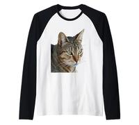 Splendido Gatto Soriano Primo Piano Ritratto vettoriale Isolato Maglia con Maniche Raglan