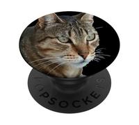 Splendido gatto soriano primo piano ritratto vettoriale isolato PopSockets PopGrip Adesivo