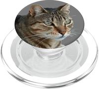 Splendido gatto soriano primo piano ritratto vettoriale isolato PopSockets PopGrip per MagSafe