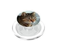 Splendido ritratto acrilico di gatto soriano PopSockets PopGrip per MagSafe