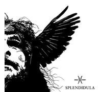 Splendidula - Somnus