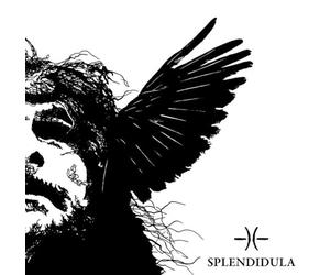 Splendidula - Somnus