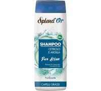 SPLEND'OR 12 PEZZI SHAMPOO CETRIOLO ML.300 0000000451362