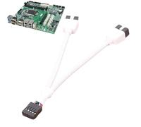 Splitter Di Intestazione USB A 9 Pin Madri - Cavo Di Estensione Da 30 Cm 2,0, Adattatore A Doppia Porta, Connettore Di Segnale Stabile | Affidabile Per Le Scuole Di PC Uffici Internet Cafes Setup