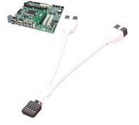 Splitter Di Intestazione USB A 9 Pin Madri - Splitter Header USB 9 Pin, Splitter Interno Interno USB | Slitt Da 9 Perni Di Cavo Di Estensione USB 2.0 Per Case, Uffici, Scuole E Internet Cafes
