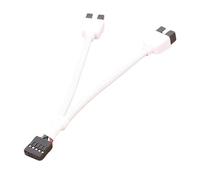Splitter header USB a 9 pin per scheda madre - Header splitter cavo prolunga scheda madre - Forniture di connessione ad alta stabilità per case, uffici, scuole e Internet café