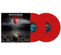 Spock's Beard The Archaeoptimist (Vinyl LP) 12" Album Coloured Vinyl