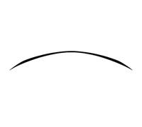 Spoiler Alettoni Posteriori Auto Baule Posteriore Spoiler Lip Splitter Trim Ala Di Coda Per Mercedes Per Benz W205 S205 CLASSE C C180 C200 Per AMG 2014-2021 End Wing(Nero lucido)