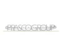 Spoiler Centrale Paraurti Anteriore Per AUDI RS5 Dal 2017 Al 2020 AD6251801