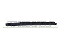 PRASCO OP7171803 Spoiler anteriore