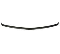 Spoiler Paraurti Anteriore Compatibile Con: DODGE CHARGER 11.10-12.14