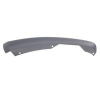Spoiler Paraurti Anteriore Destro Adatto Per: FORD MONDEO V 09.14-04.18