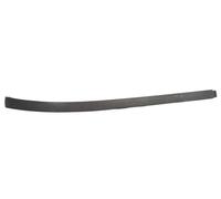 Spoiler Paraurti Anteriore Destro Adatto Per: PEUGEOT 307 08.00-09.05