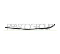BLIC 5511-00-5519221P Spoiler anteriore